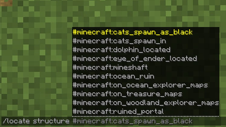 チャット欄に「/locate structure」と入力し、mineshaft や ocean_ruin などの候補が一覧で表示されている画面